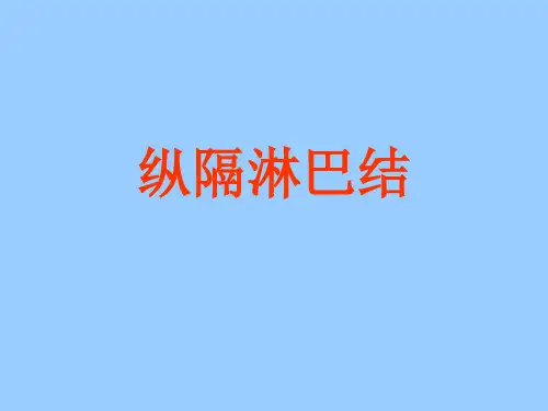 纵隔淋巴结解剖
