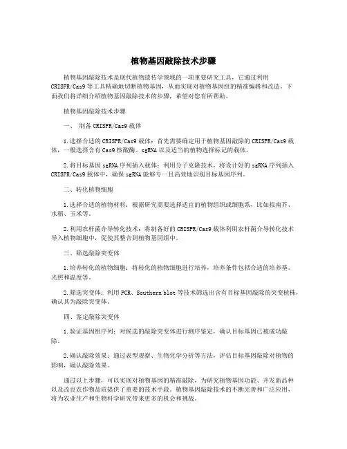 植物基因敲除技术步骤