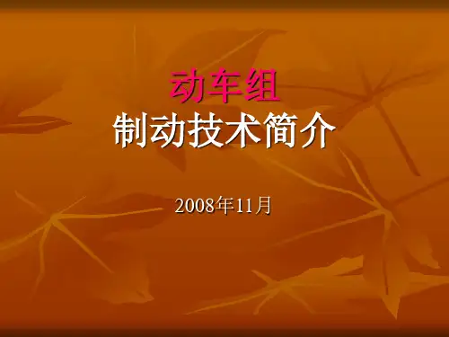 动车组制动技术