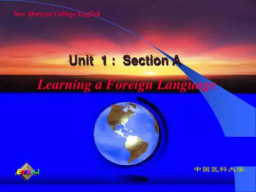 新视野大学英语第一册1ppt