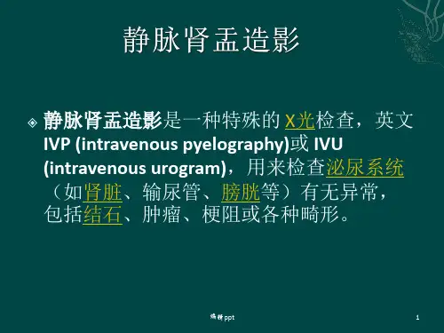 静脉肾盂造影