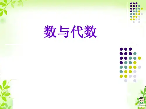 《数与代数》课件课件