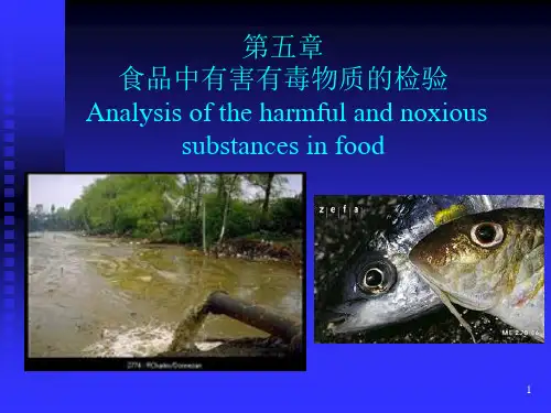 有毒有害物质分析PPT课件