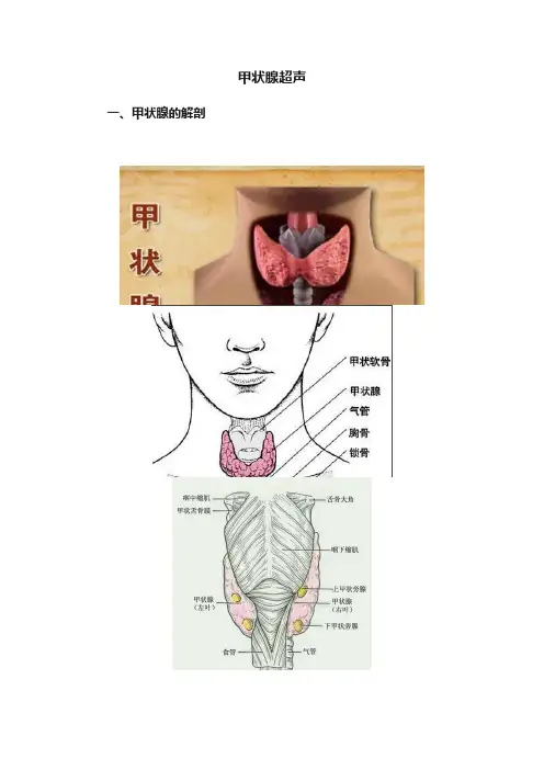 甲状腺超声