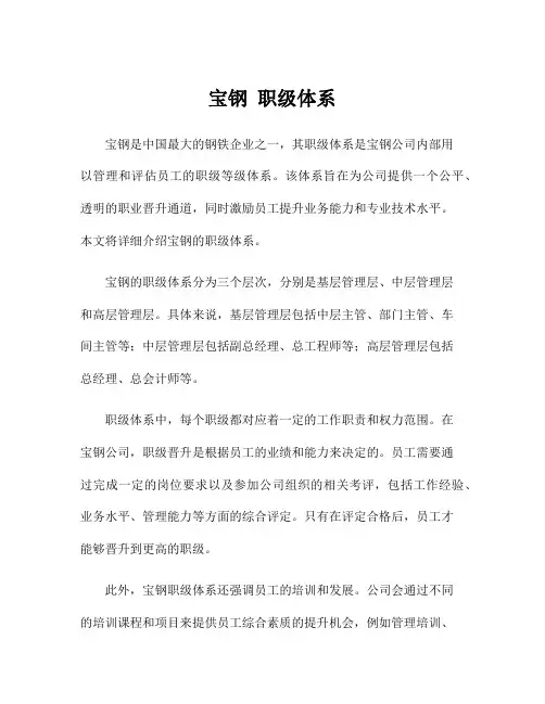 宝钢 职级体系