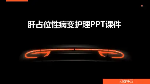 肝占位性病变护理PPT课件