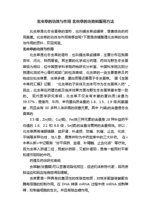 北虫草的功效与作用北虫草的功效和服用方法