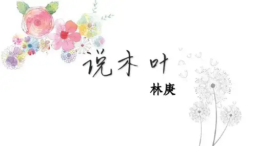 高中语文必修下册9《说“木叶”》课件(23张)