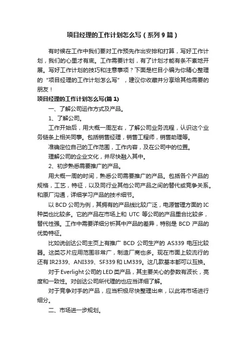 项目经理的工作计划怎么写（系列9篇）