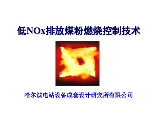 低NOx燃烧技术