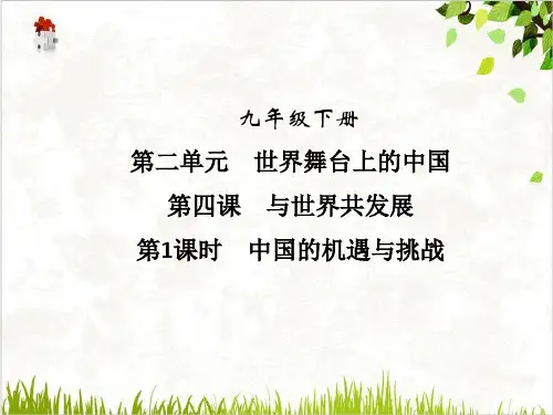 道德与法治《中国的机遇与挑战》公开课PPT部编版3