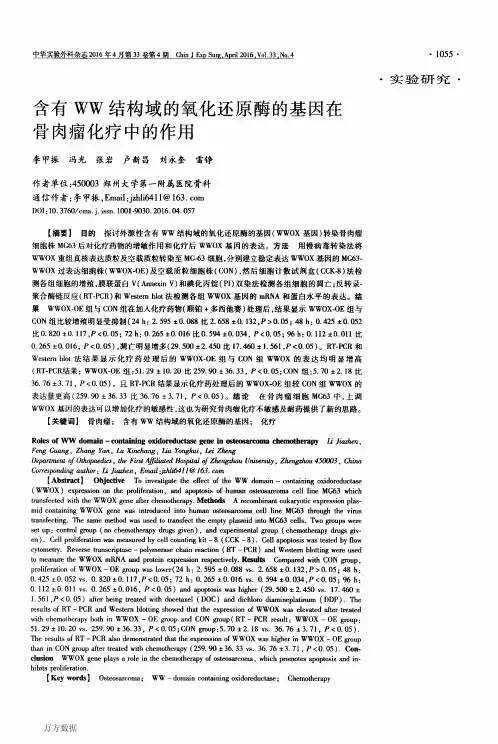 含有WW结构域的氧化还原酶的基因在骨肉瘤化疗中的作用重点