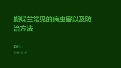蝴蝶兰常见的病虫害以及防治方法