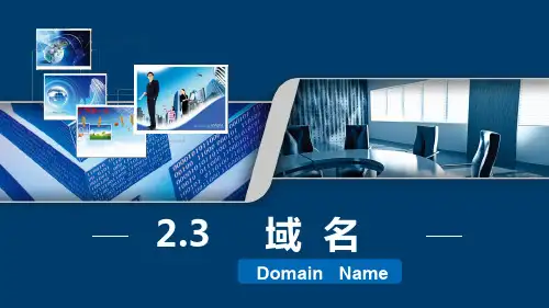 2.3域名