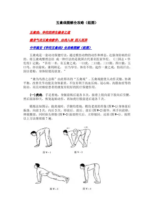 五禽戏图解全攻略(组图)