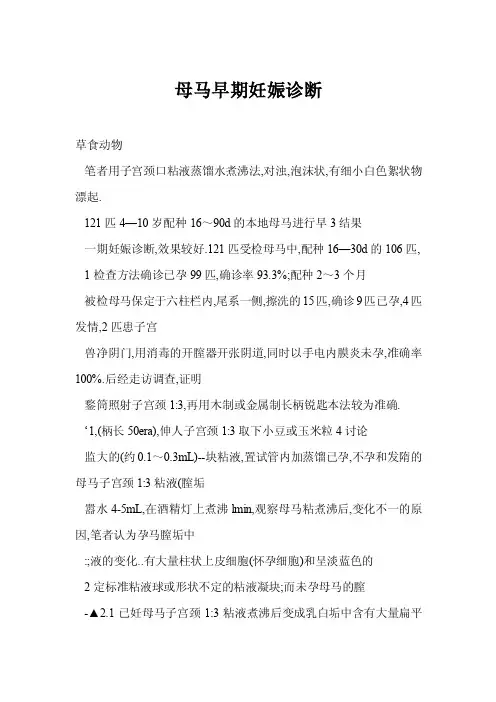 母马早期妊娠诊断