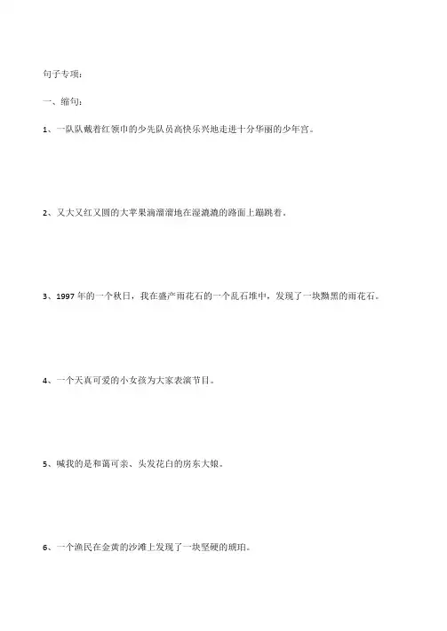 2023年小升初句子专项练习