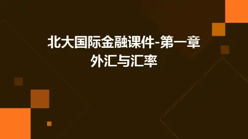 北大国际金融课件-第一章外汇与汇率