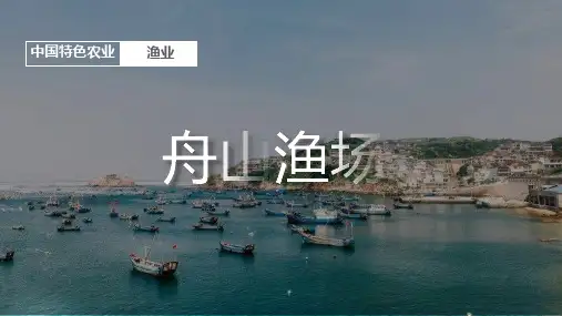 高中地理课件：舟山渔场