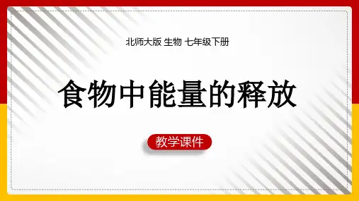 初中生物北师大版七年级下册《第1节食物中能量的释放》课件