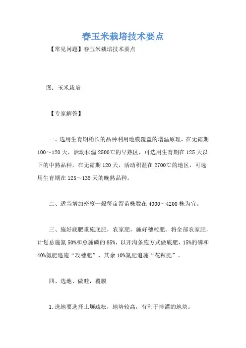春玉米栽培技术要点