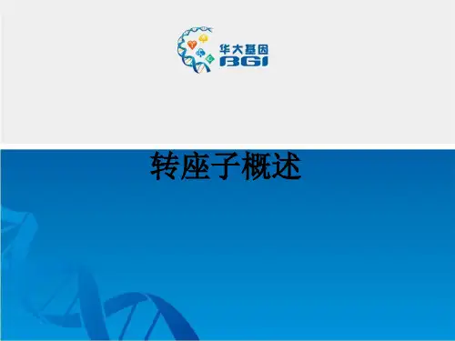 转座子概述