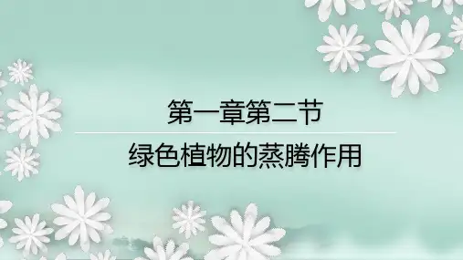 2.1.2  绿色植物的蒸腾作用 课件(21张PPT)-2023--2024学年济南版生物七年级上册