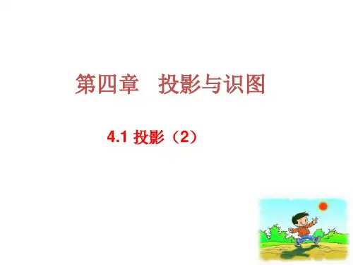 山东省九年级鲁教版(五四制)数学上册课件：412投影(2)(共20张PPT)
