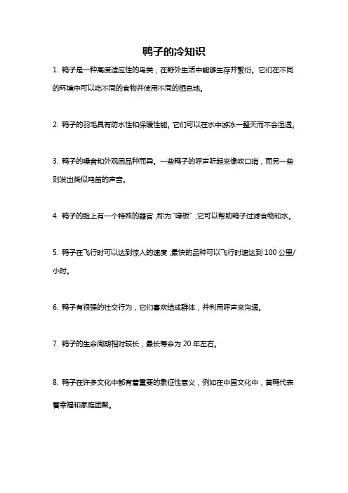 鸭子的冷知识