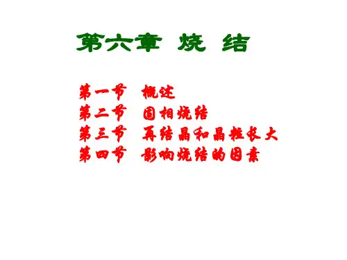 第六章烧结(1)详解