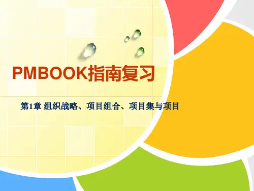 第1章 组织战略、项目组合、项目集与项目