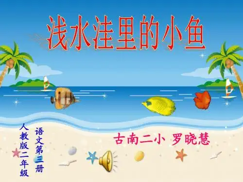 人教课标版二年级语文上册第七组28课浅水洼里的小鱼PPT课件