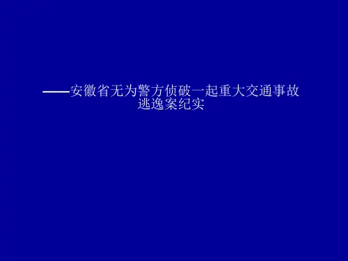 安徽省无为警方侦破一起重大交通事故逃逸案纪实