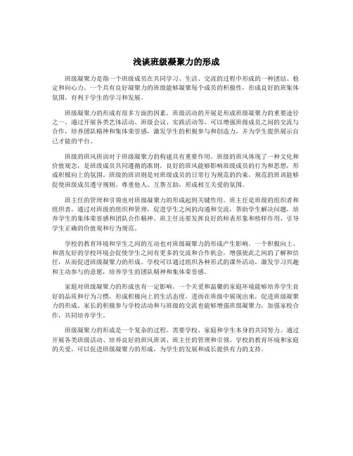 浅谈班级凝聚力的形成