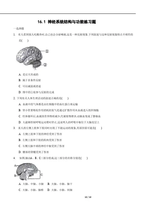 16.1 人体的神经调节第2课时 练习