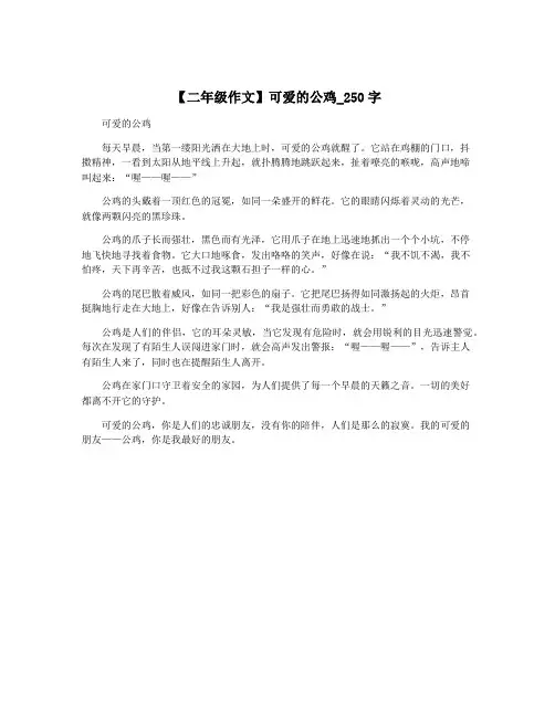 【二年级作文】可爱的公鸡_250字