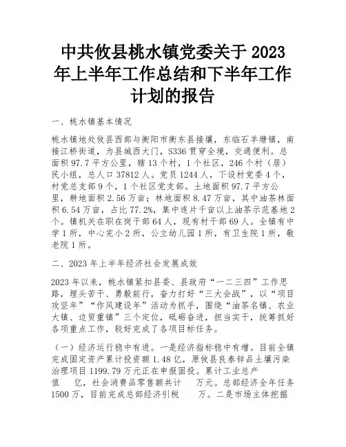 中共攸县桃水镇党委关于2023年上半年工作总结和下半年工作计划的报告