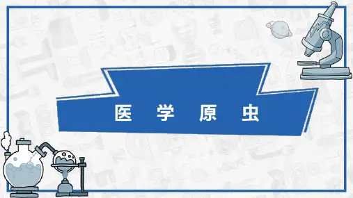 医学原虫—医学原虫图谱(寄生虫检验技术课件)