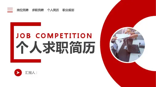 抖音网红个人简历ppt
