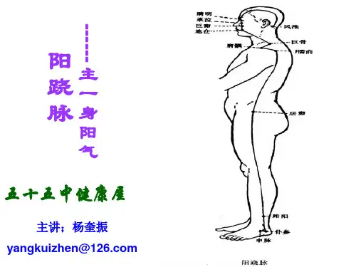 18阳跷脉、阴跷脉