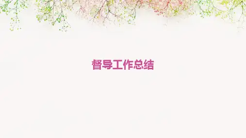 督导工作总结PPT
