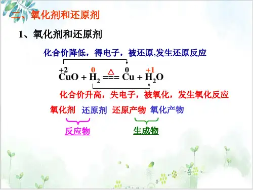 《氧化还原反应》精美课件-PPT【人教版】1