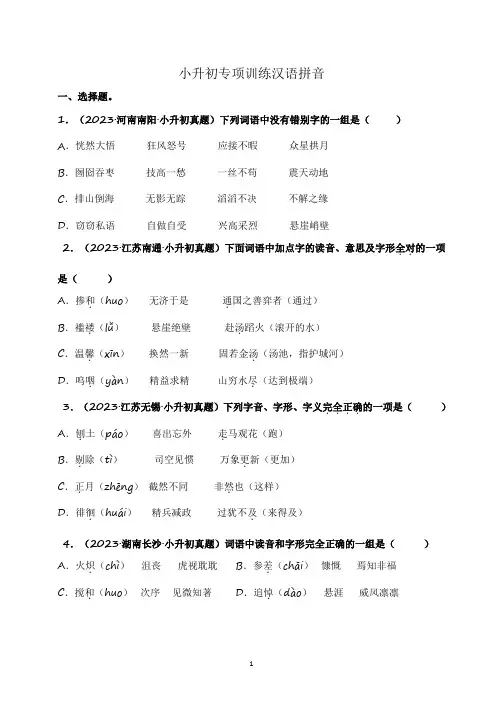 小升初语文字音、字形和字义专项训练)