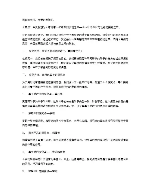 十大叶子形状与功能的发现之旅——奇妙的叶子大班科学教案