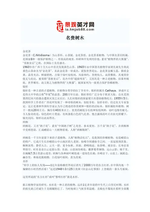 名贵树木