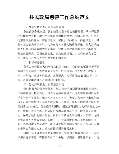 县民政局慈善工作总结范文