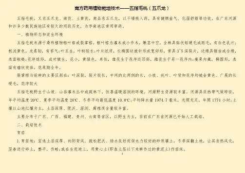 南方药用植物栽培技术-五指毛桃(五爪龙)