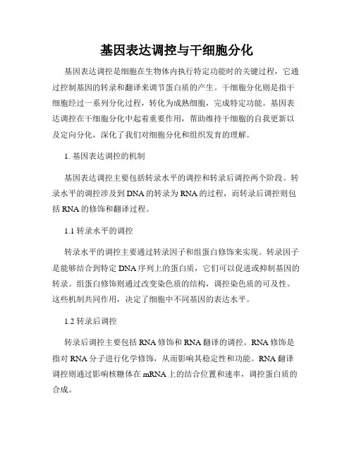 基因表达调控与干细胞分化