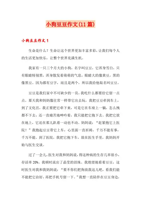 小狗豆豆作文(11篇)