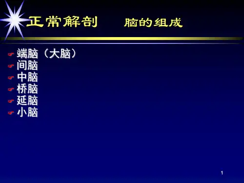 颅脑基本解剖医学PPT课件.ppt